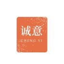 诚意v9logo