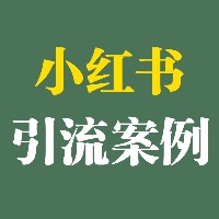 小红书引流变现案例库